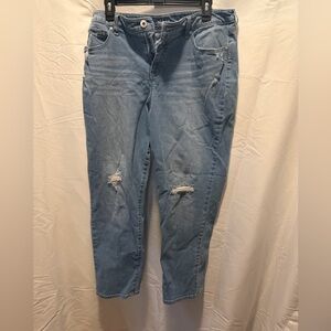 Style & Co. Curvy Girlfriend Light Blue Denim